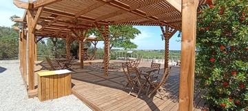 Terrasse en pin avec une pergolas traditionnelle à Villeneuve les Maguelonne