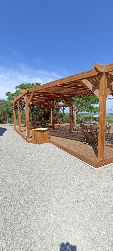 Terrasse en pin avec une pergolas traditionnelle à Villeneuve les Maguelonne